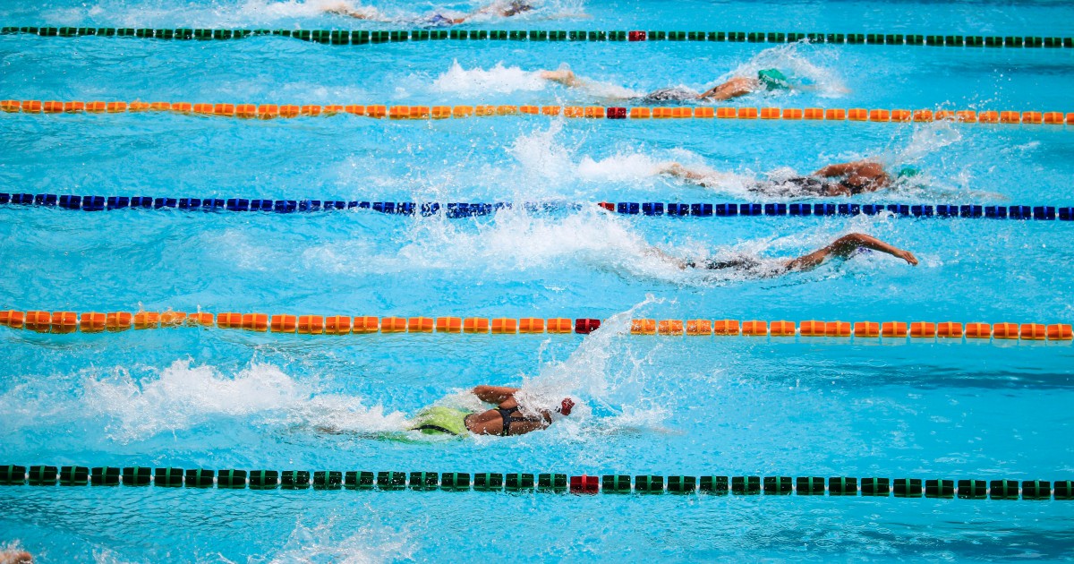 Swimmers side by side in their lanes during a race