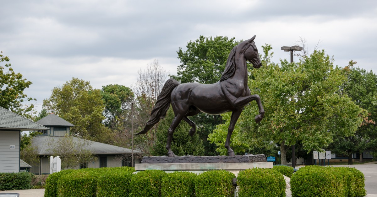 Kentucky Purchase Exemption A horse statue found in Lexington Kentucky