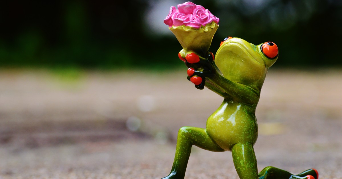Grant Writing Tips A clay frog figurine on one knee with a dozen roses held high
