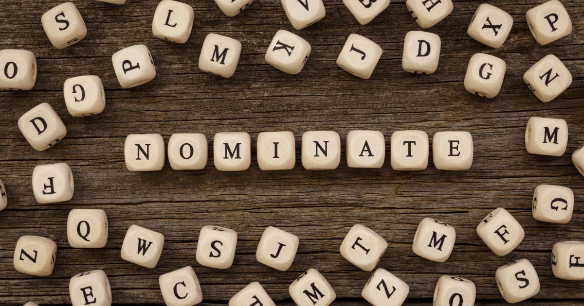 Sample Board Nomination Form board nomination form